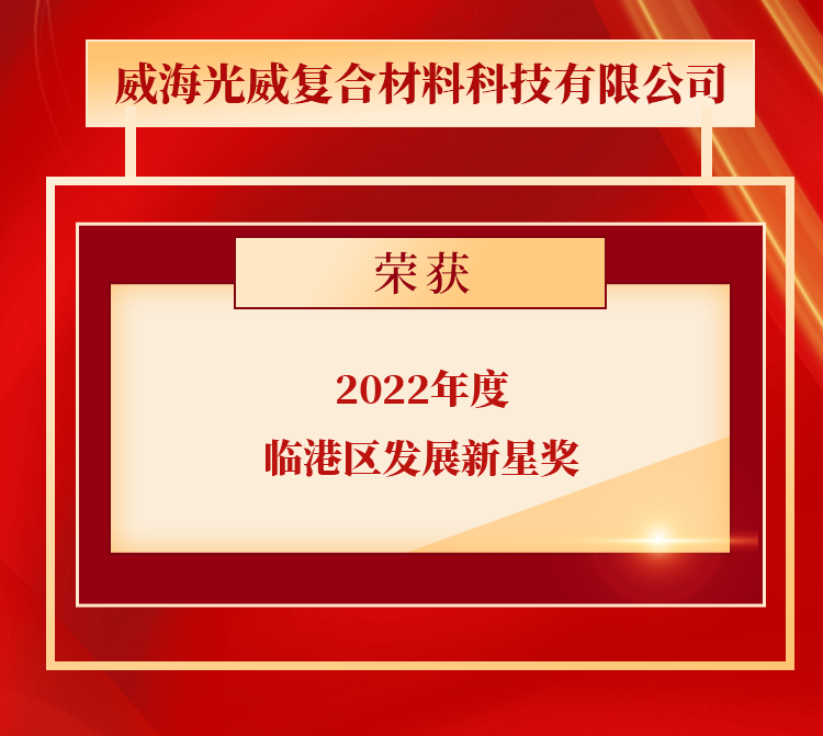 点赞，，，九洲国际获得多项声誉！ - 公司新闻 - 九洲国际