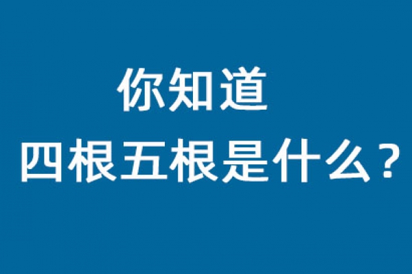 1-20091FUUaI