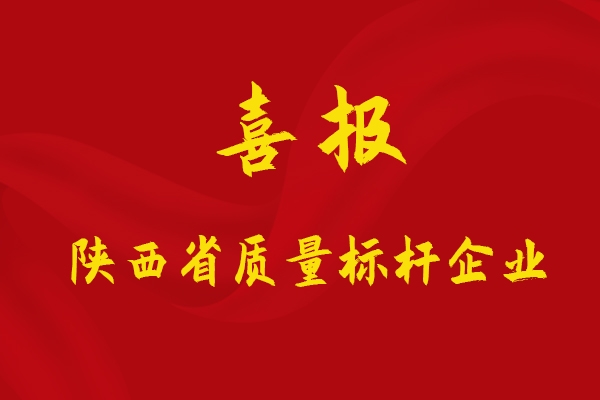 1-231225142101144